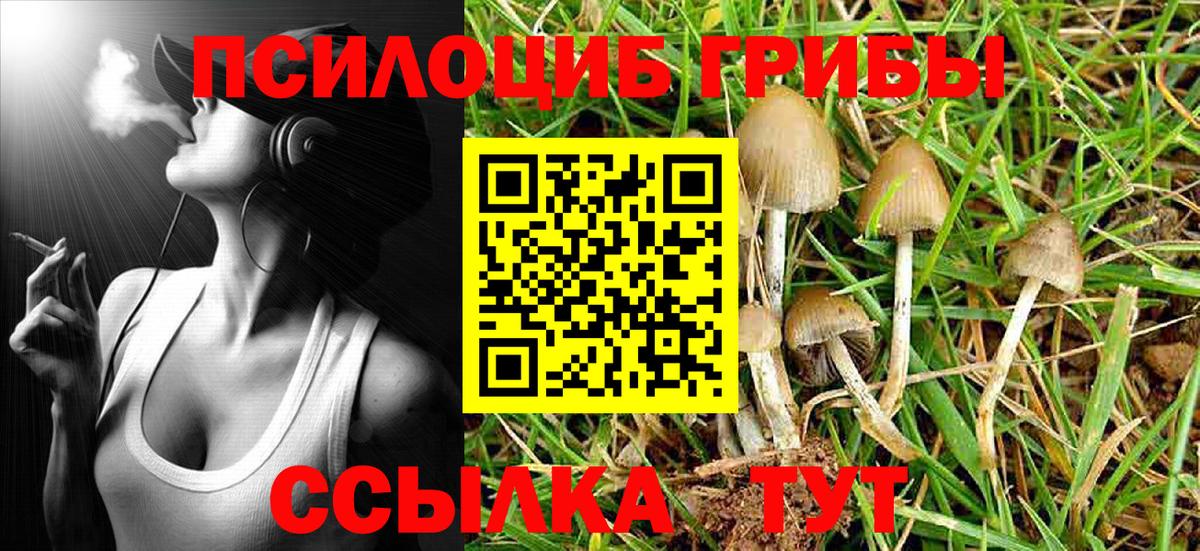 Галлюциногенные грибы Magic Shrooms Осинники