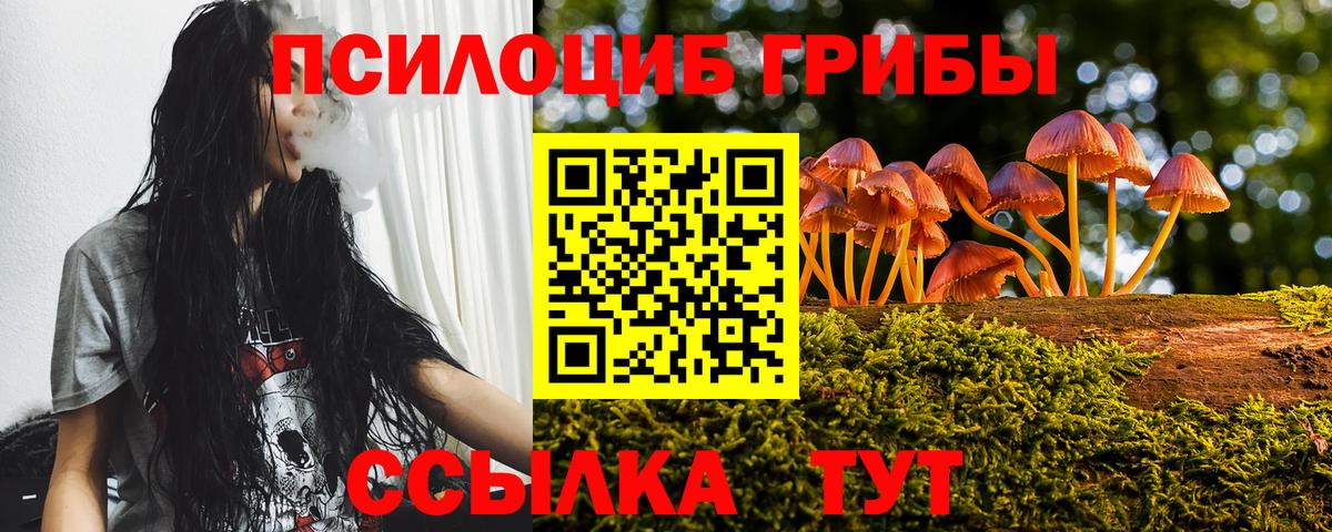 Осинники  Псилоцибиновые грибы прущие грибы  Вход с VPN 
